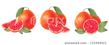 Grapefruit composition set. Whole citrus fruit and slices with leaves. Watercolor illustration. Eco friendly product. Hand drawn isolated art. Product for food packaging, juices, menus, label design Grapefruit composition set. Whole citrus fruit and slices with leaves. Watercolor illustration. Eco friendly product. Hand drawn isolated art. Product for food packaging, juices, menus, label design 135449422