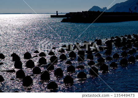Tsunami prevention measures and tetrapods 135449473