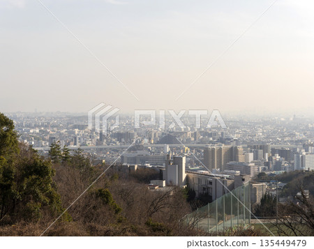 View of the cityscape covered in yellow sand from the observation deck View of the cityscape covered in yellow sand from the observation deck 135449479