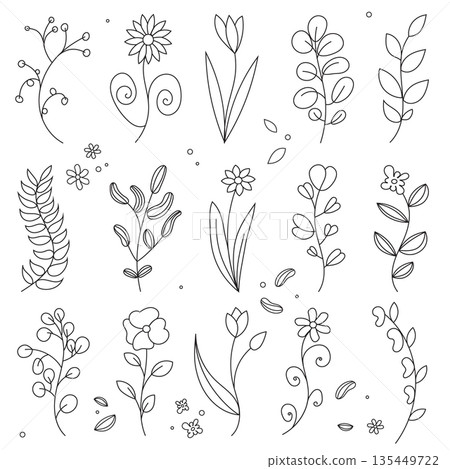 A massive collection of vector botanical illustrations. 15 unique elements, including various flowers, branches, and leaves in a minimalist style. The perfect bundle for creating branding, logos 135449722