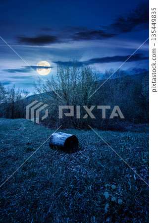 mountain landscape with green grass on a forest glade in spring at night. beautiful nature scenery with beech trees under dark sky in full moon light. strength to overcome fear, loneliness in darkness mountain landscape with green grass on a forest glade in spring at night. beautiful nature scenery with beech trees under dark sky in full moon light. strength to overcome fear, loneliness in darkness 135449835