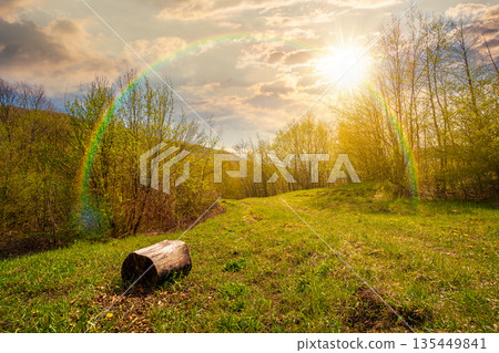 mountain landscape with green grass on a forest glade in spring at sunset. beautiful nature scenery with beech trees under blue sky in evening light. storytelling cinematic image under the rainbow mountain landscape with green grass on a forest glade in spring at sunset. beautiful nature scenery with beech trees under blue sky in evening light. storytelling cinematic image under the rainbow 135449841