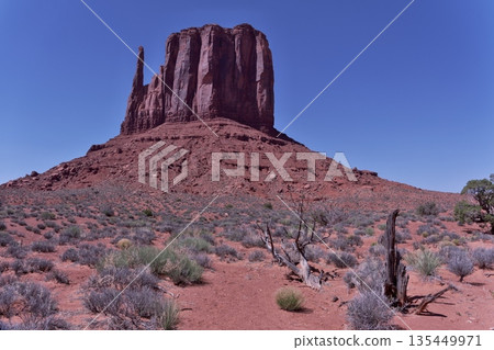 從紀念碑谷野貓步道5公里處眺望西手套山北側。 135449971