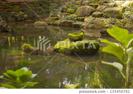 It is a quiet pond scene. 135450781