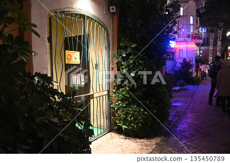 Christmas illuminations in the back alley Christmas illuminations in the back alley 135450789