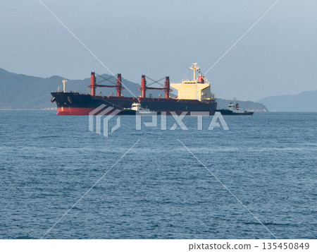 A large bulk carrier accompanied by a tugboat (Setouchi Inland Sea) 135450849