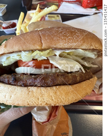 Delicious hamburger with lettuce, tomato, and onion, accompanied by crispy french fries. Delicious hamburger with lettuce, tomato, and onion, accompanied by crispy french fries. 135451417