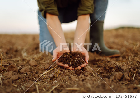 Close-up of a woman farmer's hands with black soil in an agricultural field. Ecology concept. Close-up of a woman farmer's hands with black soil in an agricultural field. Ecology concept. 135451658