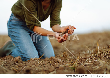 Close-up of a woman farmer's hands with black soil in an agricultural field. Ecology concept. Close-up of a woman farmer's hands with black soil in an agricultural field. Ecology concept. 135451780