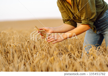 Young woman farmer walking across field and running her hand through golden ears of wheat harvest. Young woman farmer walking across field and running her hand through golden ears of wheat harvest. 135451782