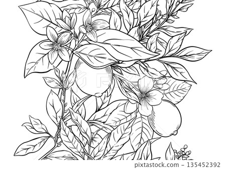 Lemons and tea leaves seamless coloring page 135452392