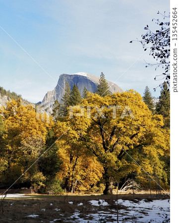 Beautiful autumn leaves and snow-covered rocky mountains Beautiful autumn leaves and snow-covered rocky mountains 135452664