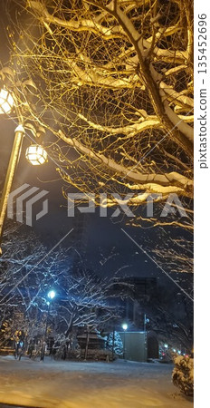Snow falling night Snow falling night 135452696