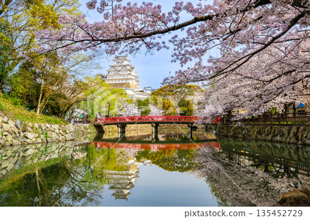 盛開的櫻花、世界遺產姬路城以及倒映在護城河中的紅橋 135452729