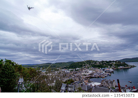 A port town overlooked from a hill A port town overlooked from a hill 135453073