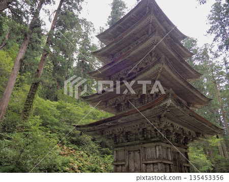 一座歷史悠久的五層寶塔,隱匿於森林之中 一座歷史悠久的五層寶塔,隱匿於森林之中 135453356