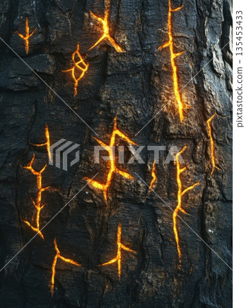 texture of bark wood with glowing elements texture of bark wood with glowing elements 135453433