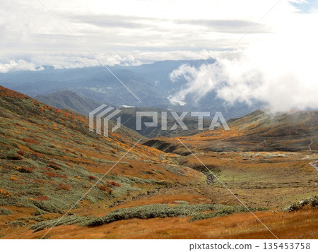 秋葉鋪滿了東北部的月山。 秋葉鋪滿了東北部的月山。 135453758