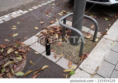 Empty blank wine bottle lying in an autumn parking space. Outdoor urban scene showing discarded beverage container among fallen leaves, creating a casual seasonal setting. 135454129