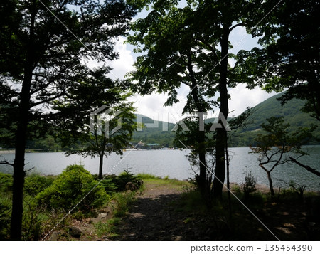 Lake beyond the forest 135454390