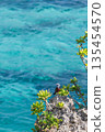 A small bird on the shore gazing at the tropical sea 135454570