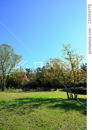 湊川公園(新潟縣新潟市)的秋葉景色 湊川公園(新潟縣新潟市)的秋葉景色 135454778