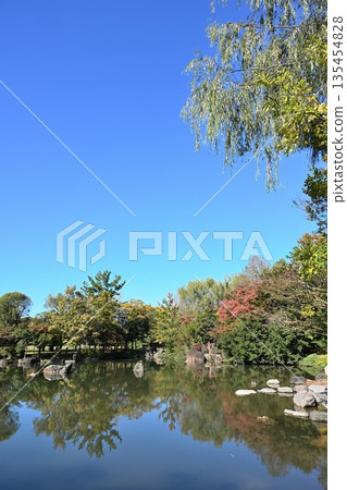 秋日里，新潟川公園的池塘景色（新潟縣新潟市） 135454828