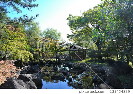 秋日里,新潟川公園的池塘景色(新潟縣新潟市) 秋日里,新潟川公園的池塘景色(新潟縣新潟市) 135454829