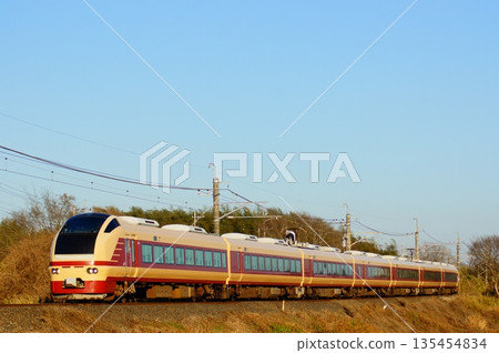 E653 series in JNR colors entered the Abiko branch line as a New Year's train. E653 series in JNR colors entered the Abiko branch line as a New Year's train. 135454834