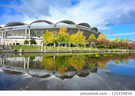 秋日晴空下，大天鵝與運河（新潟縣新潟市） 135454859