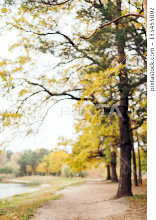 Blurred autumn landscape with yellow trees along a path by a lake. 135455092