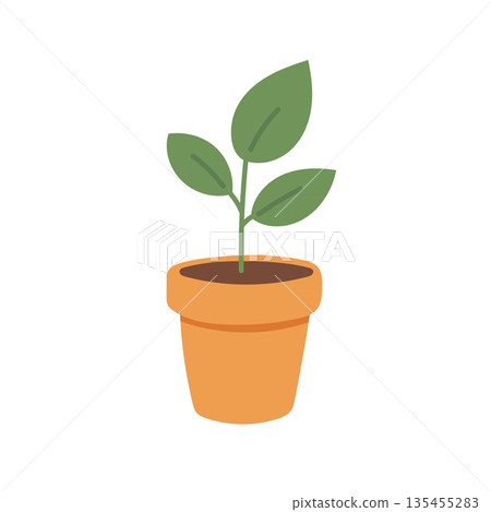 Small potted seedling illustration symbolizing growth, sustainability, indoor greenery, and beginner plant care inspiration Small potted seedling illustration symbolizing growth, sustainability, indoor greenery, and beginner plant care inspiration 135455283