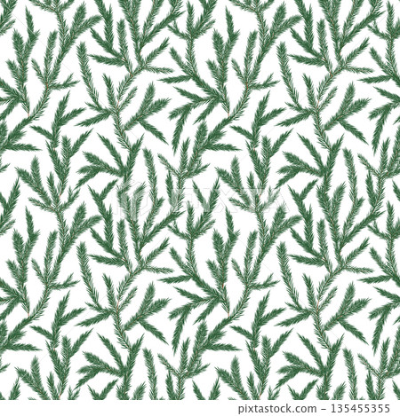 Fir tree branches vector seamless pattern. Green spruce twigs with needles isolated on white background. Botanical winter evergreen conifer repeat tile for Christmas, wrapping, seasonal festive print Fir tree branches vector seamless pattern. Green spruce twigs with needles isolated on white background. Botanical winter evergreen conifer repeat tile for Christmas, wrapping, seasonal festive print 135455355