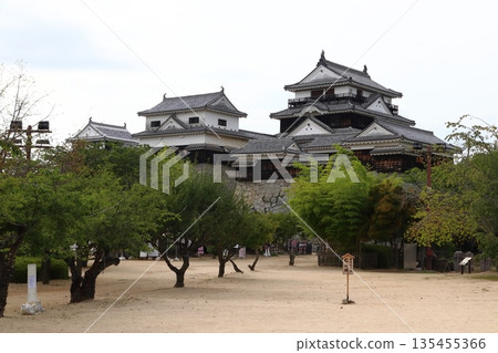 Matsuyama Castle: Shiroyama Park Honmaru Square (Matsuyama City, Ehime Prefecture) Matsuyama Castle: Shiroyama Park Honmaru Square (Matsuyama City, Ehime Prefecture) 135455366