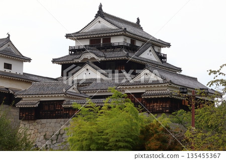Matsuyama Castle: Castle tower (Matsuyama City, Ehime Prefecture) 135455367