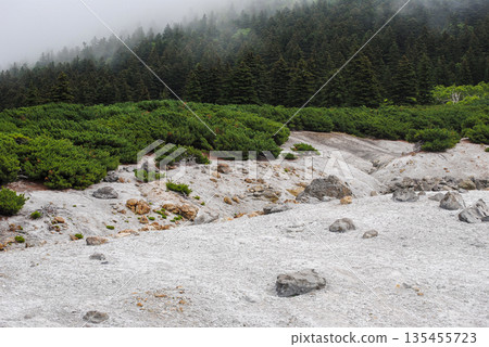 Active fumarole fields on a Kuril Islands volcano slope surrounded by summer greenery. 135455723