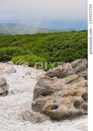 Volcanic fumaroles on Kuril Islands hillside with large scattered rocks and summer greenery. 135455724