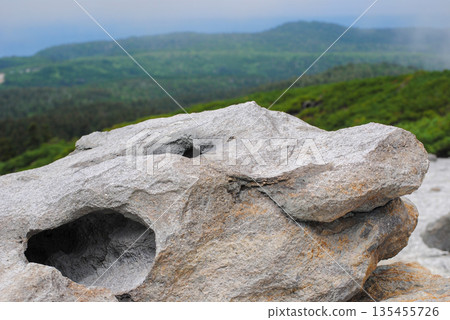 Volcanic fumaroles on Kuril Islands hillside with large scattered rocks and summer greenery. 135455726