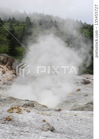 A lush green summery landscape on the Kuril Islands featuring active volcanic fumarole fields. 135455727