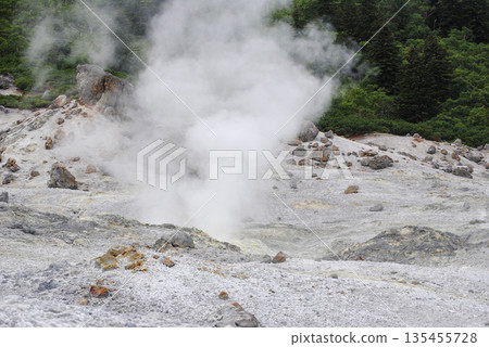 A lush green summery landscape on the Kuril Islands featuring active volcanic fumarole fields. 135455728