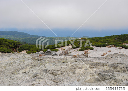 Active fumarole fields on a Kuril Islands volcano slope surrounded by summer greenery. 135455735