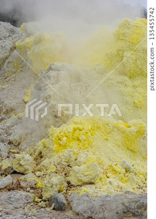 Geothermal fumarole field on a volcano slope in the Kuril Islands. Hot steam vents and bright yellow sulfur deposits. Geothermal fumarole field on a volcano slope in the Kuril Islands. Hot steam vents and bright yellow sulfur deposits. 135455742
