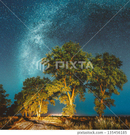 Milky Way Galaxy In Night Starry Sky Above Tree In Summer Forest. Glowing Stars Above Landscape. Panorama 135456185