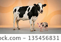 Studio shot of a black and white cow and a spotted piglet standing together, so cute. 135456831