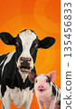 Cute cow and pig together on a vibrant orange background, animal friendship. 135456833
