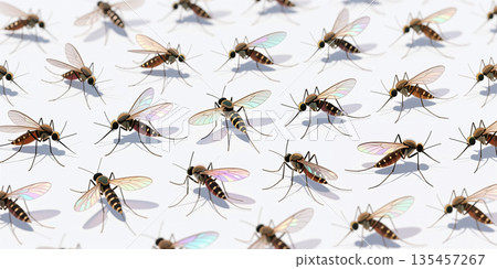 Mosquitoes on a white background. Mosquitoes on a white background. 135457267