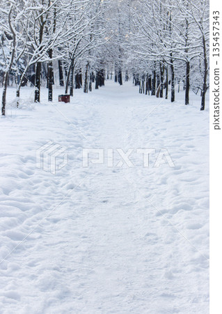 Snow covered trees in city park. Amazing winter landscape. Footpath in snowy frozen forest. Snowfall and empty path in beautiful downtown park. Cold winter morning in nature. Frosty morning in January Snow covered trees in city park. Amazing winter landscape. Footpath in snowy frozen forest. Snowfall and empty path in beautiful downtown park. Cold winter morning in nature. Frosty morning in January 135457343