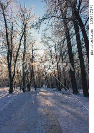 Snow covered trees in city park. Amazing winter landscape. Footpath in snowy frozen forest. Snowfall and empty path in beautiful downtown park. Cold winter morning in nature. Frosty morning in January Snow covered trees in city park. Amazing winter landscape. Footpath in snowy frozen forest. Snowfall and empty path in beautiful downtown park. Cold winter morning in nature. Frosty morning in January 135457375