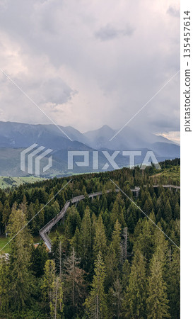 Forest Treetop Walk with Mountain View 135457614