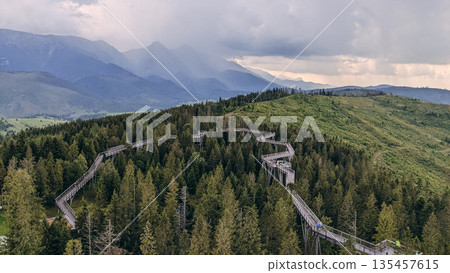 Elevated wooden path winds through dense forest with misty mountains in the background under cloudy sky. Elevated wooden path winds through dense forest with misty mountains in the background under cloudy sky. 135457615